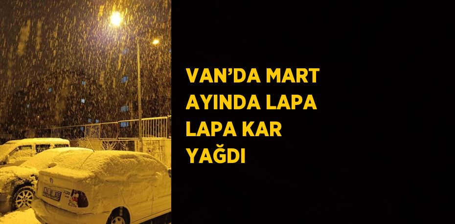 VAN’DA MART AYINDA LAPA LAPA KAR YAĞDI