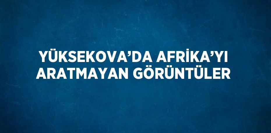 YÜKSEKOVA’DA AFRİKA’YI ARATMAYAN GÖRÜNTÜLER