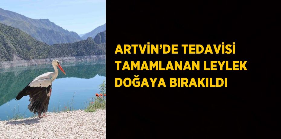 ARTVİN’DE TEDAVİSİ TAMAMLANAN LEYLEK DOĞAYA BIRAKILDI