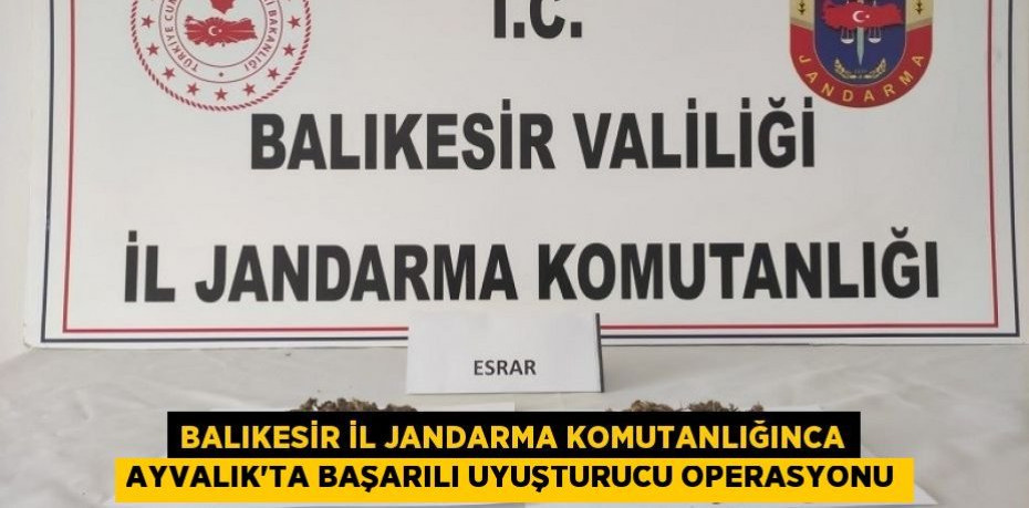Balıkesir İl Jandarma Komutanlığınca Ayvalık’ta başarılı uyuşturucu operasyonu