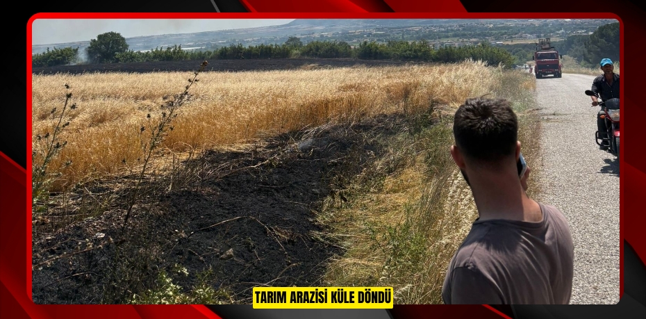 Tarım arazisi küle döndü