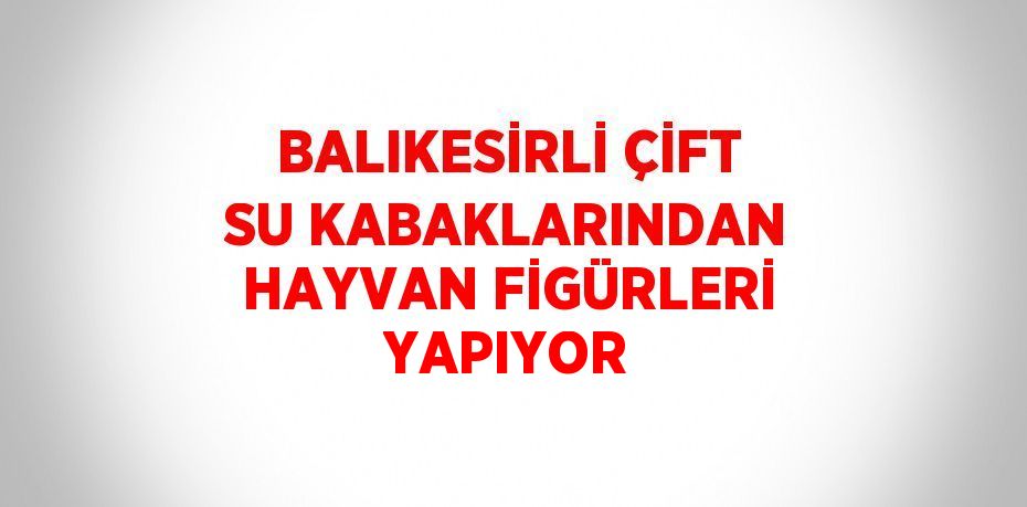 BALIKESİRLİ ÇİFT SU KABAKLARINDAN HAYVAN FİGÜRLERİ YAPIYOR