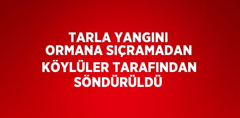 TARLA YANGINI ORMANA SIÇRAMADAN KÖYLÜLER TARAFINDAN SÖNDÜRÜLDÜ