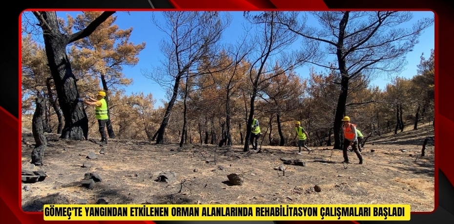 Gömeç'te yangından etkilenen orman alanlarında rehabilitasyon çalışmaları başladı