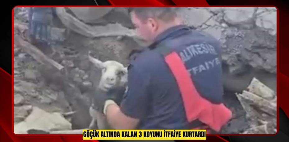 Göçük altında kalan 3 koyunu itfaiye kurtardı