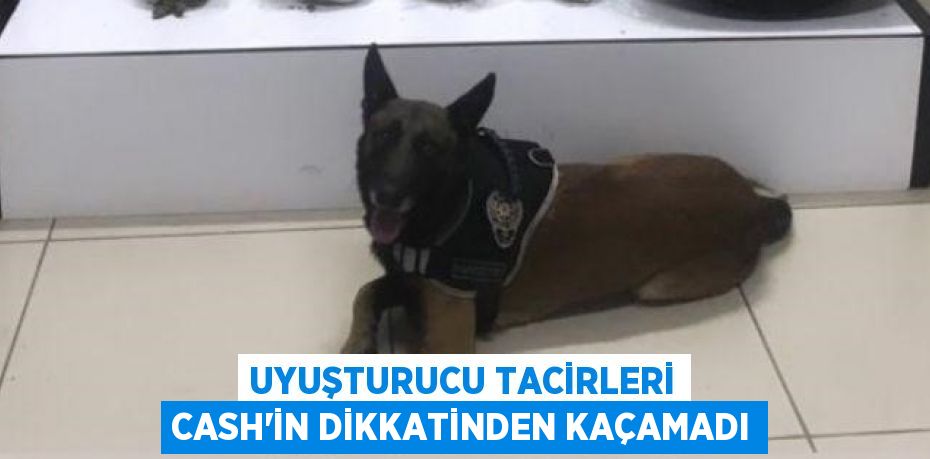 Uyuşturucu tacirleri Cash’in dikkatinden kaçamadı