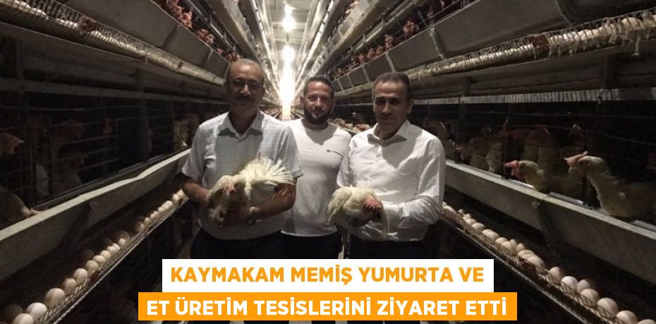 Kaymakam Memiş yumurta ve et üretim tesislerini ziyaret etti