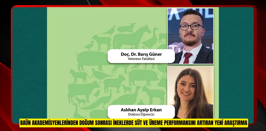 BAÜN AKADEMİSYENLERİNDEN DOĞUM SONRASI İNEKLERDE SÜT VE ÜREME PERFORMANSINI ARTIRAN YENİ ARAŞTIRMA