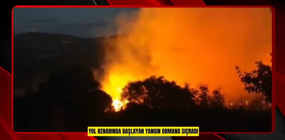 Yol kenarında başlayan yangın ormana sıçradı