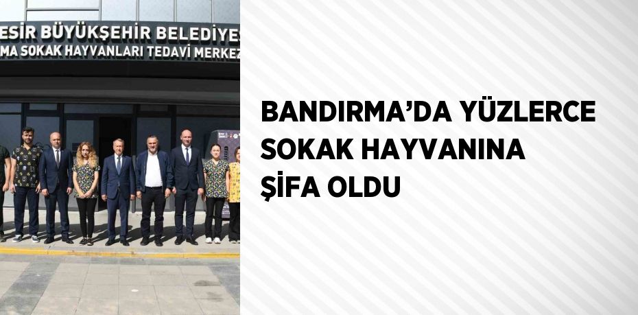 BANDIRMA’DA YÜZLERCE SOKAK HAYVANINA ŞİFA OLDU