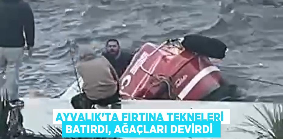 Ayvalık’ta fırtına tekneleri batırdı, ağaçları devirdi