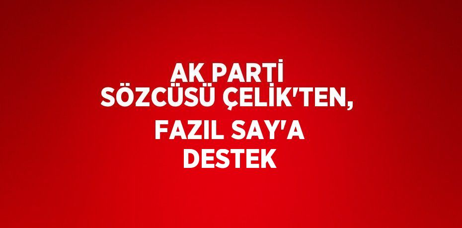 AK PARTİ SÖZCÜSÜ ÇELİK’TEN, FAZIL SAY’A DESTEK