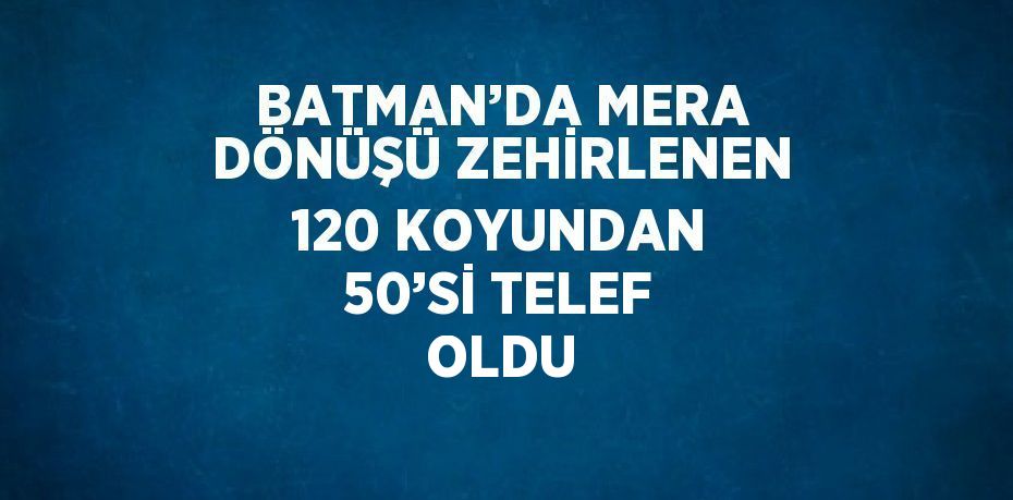 BATMAN’DA MERA DÖNÜŞÜ ZEHİRLENEN 120 KOYUNDAN 50’Sİ TELEF OLDU