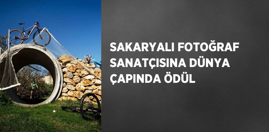 SAKARYALI FOTOĞRAF SANATÇISINA DÜNYA ÇAPINDA ÖDÜL