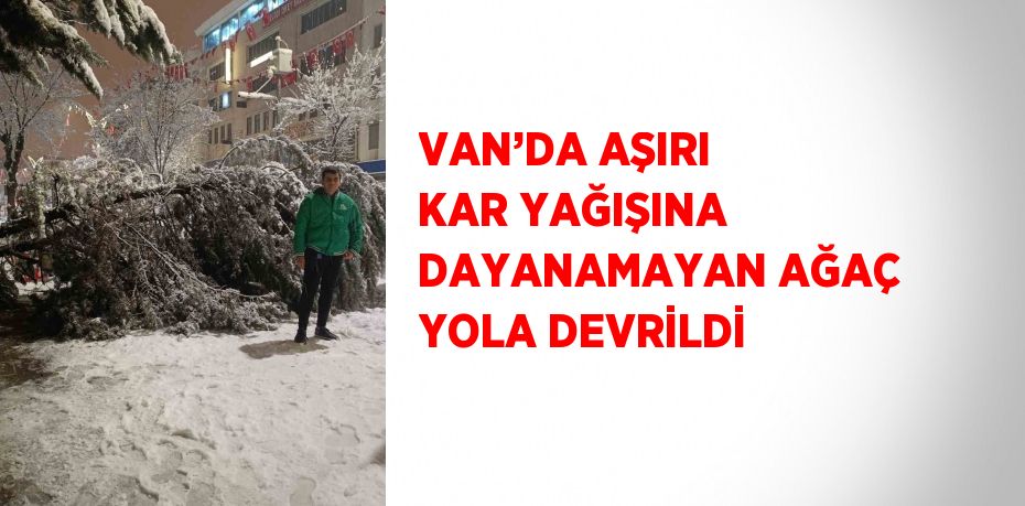 VAN’DA AŞIRI KAR YAĞIŞINA DAYANAMAYAN AĞAÇ YOLA DEVRİLDİ