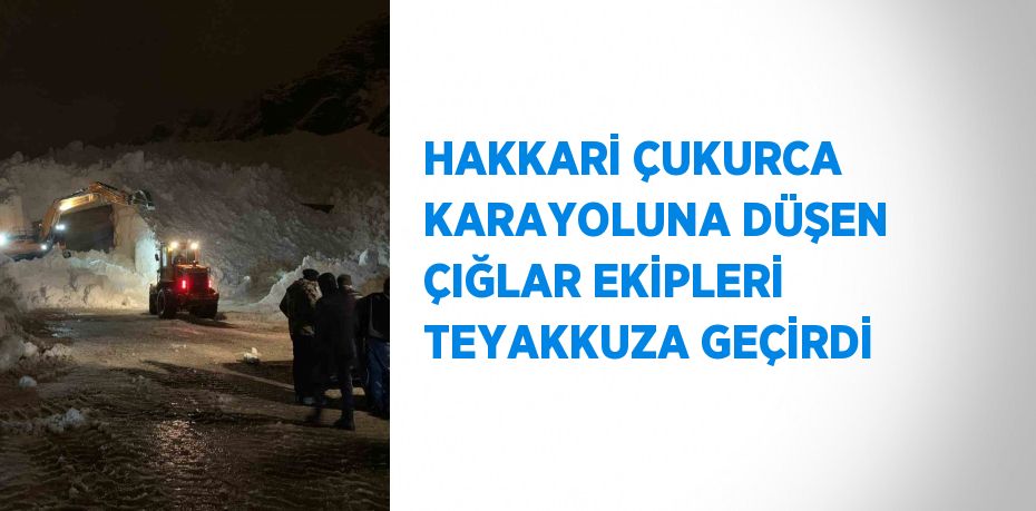 HAKKARİ ÇUKURCA KARAYOLUNA DÜŞEN ÇIĞLAR EKİPLERİ TEYAKKUZA GEÇİRDİ