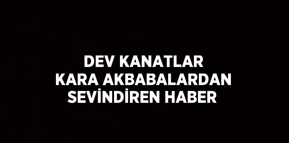 DEV KANATLAR KARA AKBABALARDAN SEVİNDİREN HABER