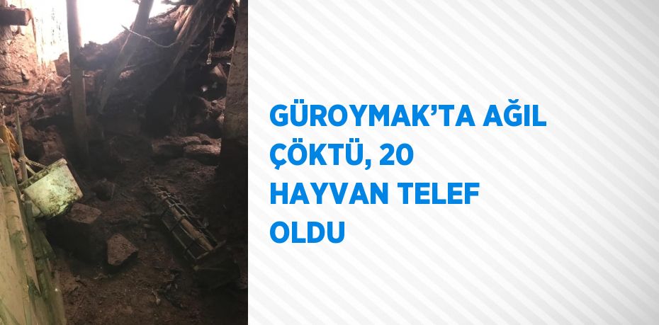 GÜROYMAK’TA AĞIL ÇÖKTÜ, 20 HAYVAN TELEF OLDU