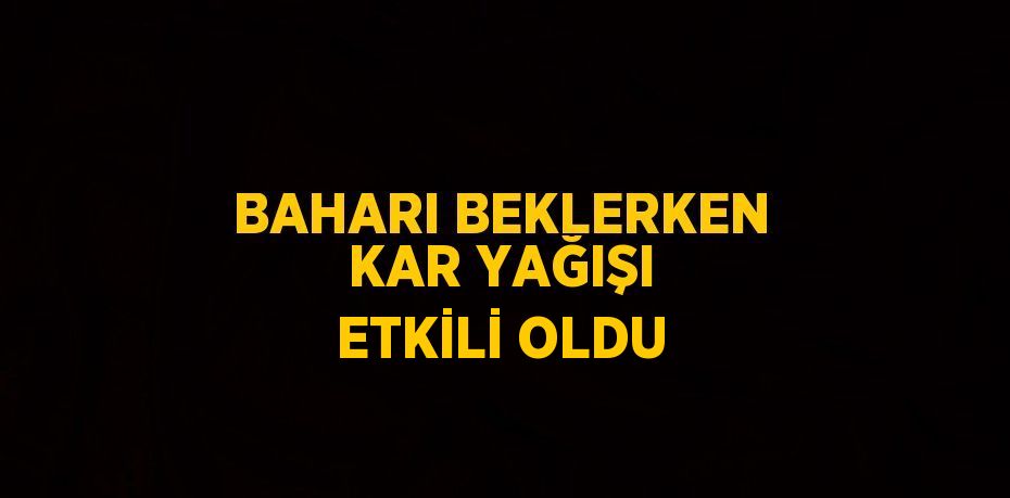 BAHARI BEKLERKEN KAR YAĞIŞI ETKİLİ OLDU