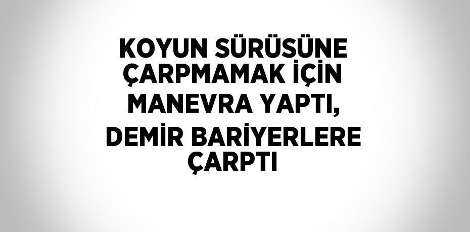 KOYUN SÜRÜSÜNE ÇARPMAMAK İÇİN MANEVRA YAPTI, DEMİR BARİYERLERE ÇARPTI