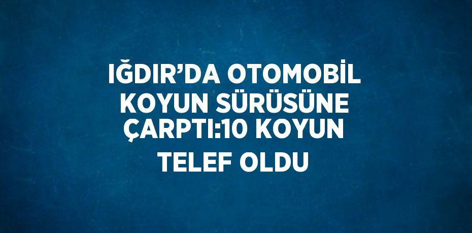 IĞDIR’DA OTOMOBİL KOYUN SÜRÜSÜNE ÇARPTI:10 KOYUN TELEF OLDU