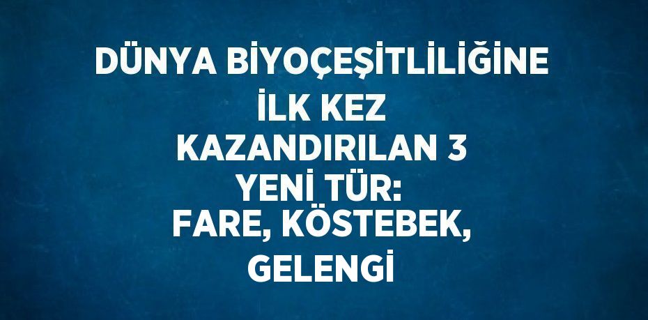 DÜNYA BİYOÇEŞİTLİLİĞİNE İLK KEZ KAZANDIRILAN 3 YENİ TÜR: FARE, KÖSTEBEK, GELENGİ