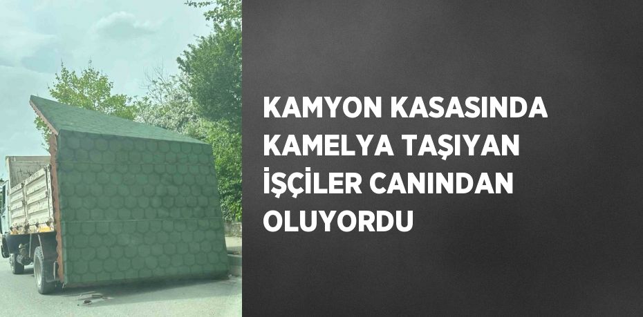 KAMYON KASASINDA KAMELYA TAŞIYAN İŞÇİLER CANINDAN OLUYORDU