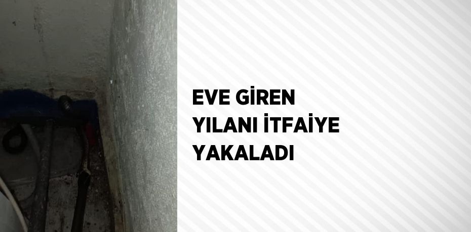 EVE GİREN YILANI İTFAİYE YAKALADI
