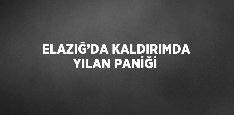ELAZIĞ’DA KALDIRIMDA YILAN PANİĞİ