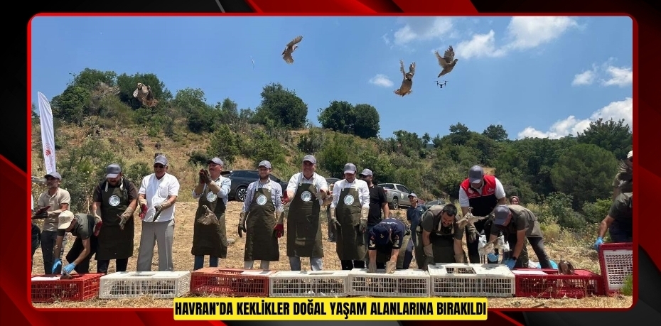 Havran’da keklikler doğal yaşam alanlarına bırakıldı  
