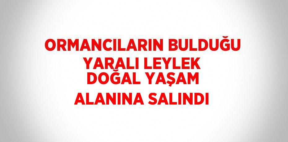 ORMANCILARIN BULDUĞU YARALI LEYLEK DOĞAL YAŞAM ALANINA SALINDI