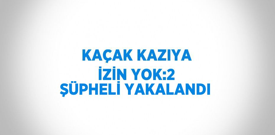 KAÇAK KAZIYA İZİN YOK:2 ŞÜPHELİ YAKALANDI