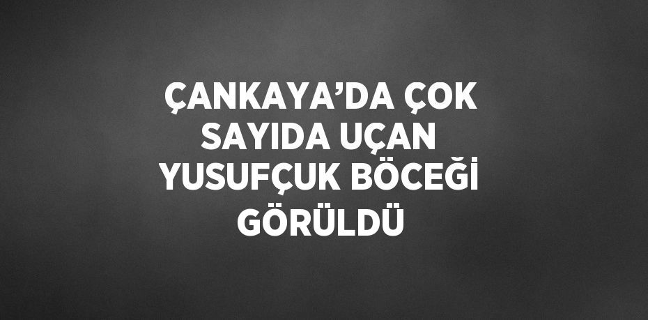 ÇANKAYA’DA ÇOK SAYIDA UÇAN YUSUFÇUK BÖCEĞİ GÖRÜLDÜ