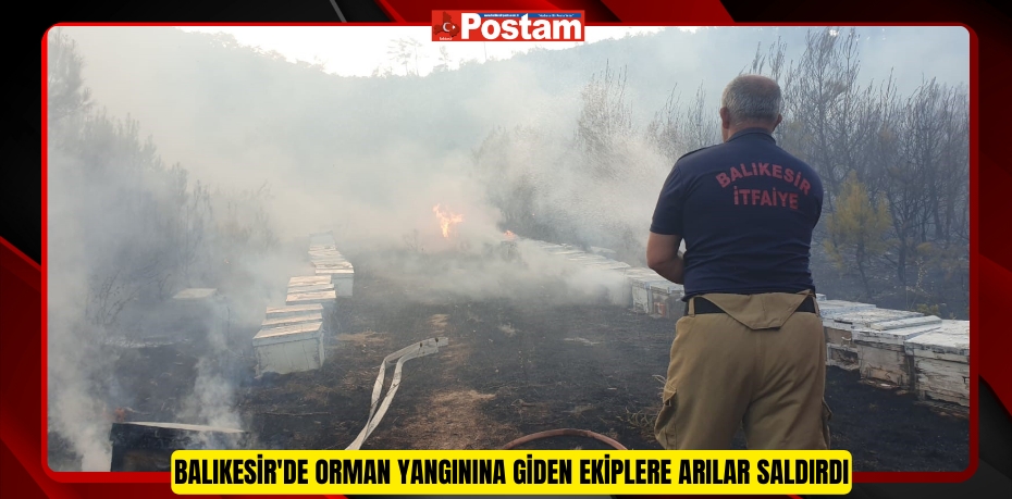 Balıkesir'de orman yangınına giden ekiplere arılar saldırdı
