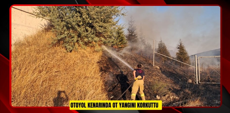 Otoyol kenarında ot yangını korkuttu Otoyol kenarında ot yangını korkuttu