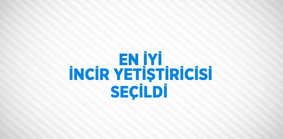 EN İYİ İNCİR YETİŞTİRİCİSİ SEÇİLDİ