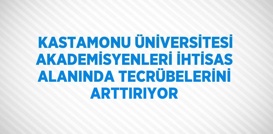 KASTAMONU ÜNİVERSİTESİ AKADEMİSYENLERİ İHTİSAS ALANINDA TECRÜBELERİNİ ARTTIRIYOR