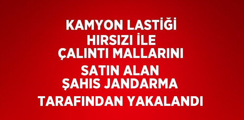 KAMYON LASTİĞİ HIRSIZI İLE ÇALINTI MALLARINI SATIN ALAN ŞAHIS JANDARMA TARAFINDAN YAKALANDI