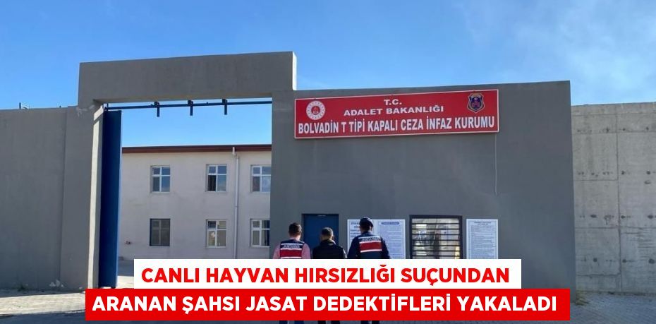 CANLI HAYVAN HIRSIZLIĞI SUÇUNDAN ARANAN ŞAHSI JASAT DEDEKTİFLERİ YAKALADI