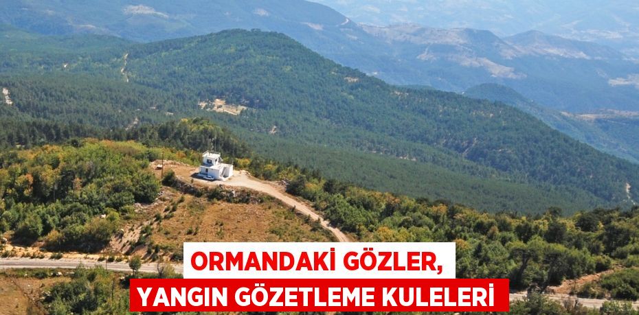 Ormandaki Gözler, Yangın Gözetleme Kuleleri