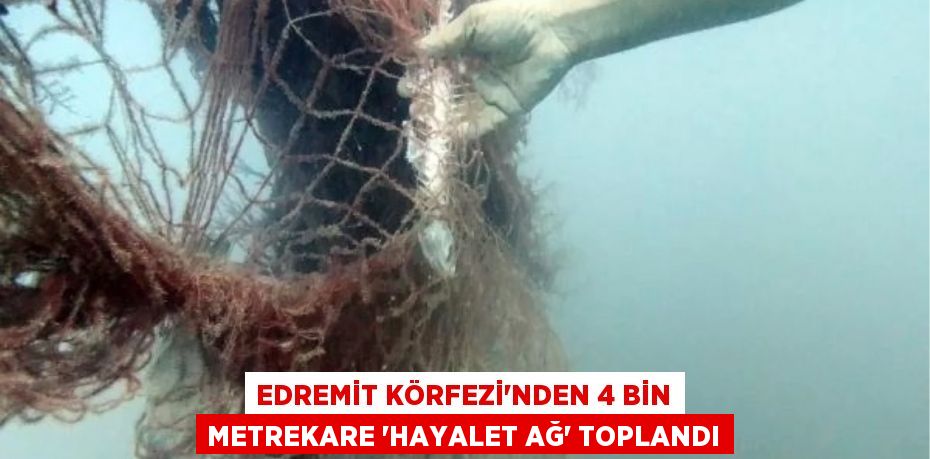 Edremit Körfezi'nden 4 bin metrekare 'hayalet ağ' toplandı