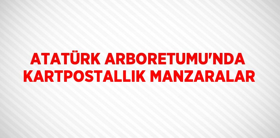 ATATÜRK ARBORETUMU’NDA KARTPOSTALLIK MANZARALAR