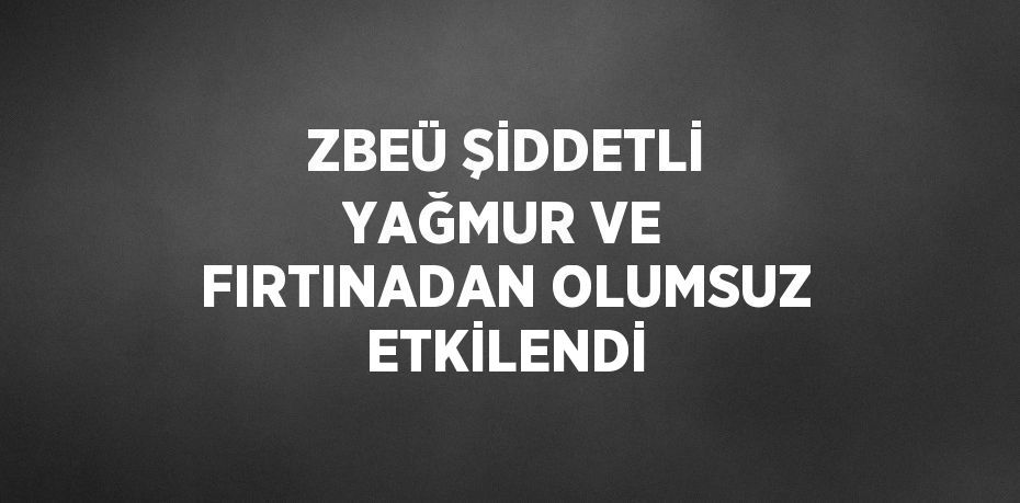 ZBEÜ ŞİDDETLİ YAĞMUR VE FIRTINADAN OLUMSUZ ETKİLENDİ