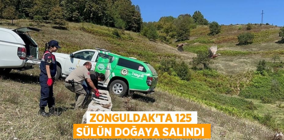 ZONGULDAK’TA 125 SÜLÜN DOĞAYA SALINDI