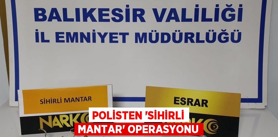 Polisten 'sihirli mantar' operasyonu
