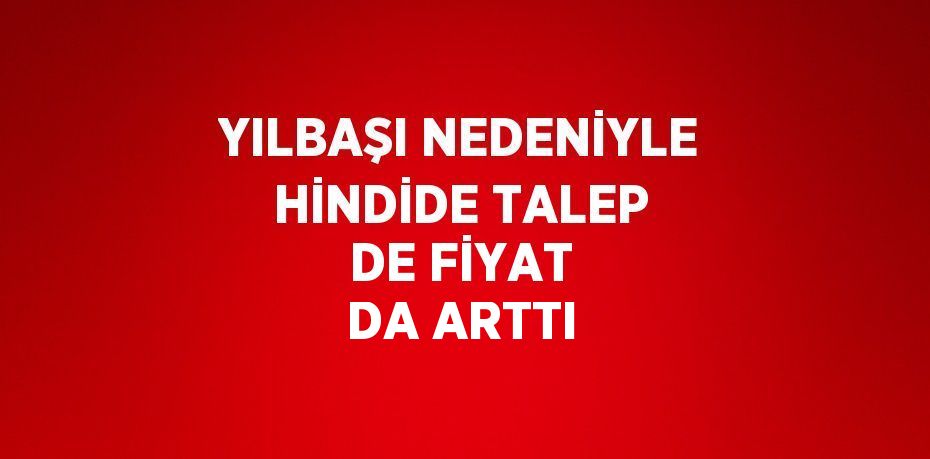 YILBAŞI NEDENİYLE HİNDİDE TALEP DE FİYAT DA ARTTI