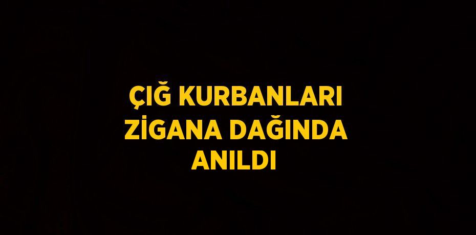 ÇIĞ KURBANLARI ZİGANA DAĞINDA ANILDI