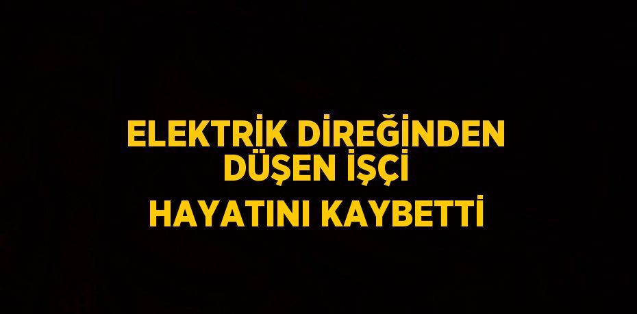 ELEKTRİK DİREĞİNDEN DÜŞEN İŞÇİ HAYATINI KAYBETTİ