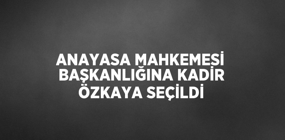 ANAYASA MAHKEMESİ BAŞKANLIĞINA KADİR ÖZKAYA SEÇİLDİ