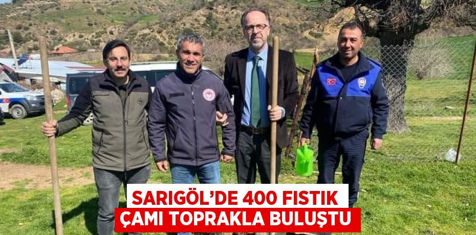 SARIGÖL’DE 400 FISTIK ÇAMI TOPRAKLA BULUŞTU